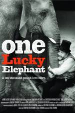 Watch En lycklig elefant 5movies