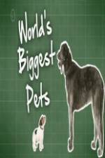 Watch World's Biggest Pets 5movies