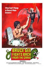 Watch Bruce Lee Fights Back from the Grave 5movies