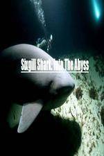 Watch National Geographic Wild Sixgill Shark Into The Abyss 5movies