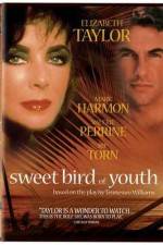 Watch Sweet Bird of Youth 5movies