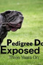 Watch Pedigree Dogs Exposed, Three Years On 5movies