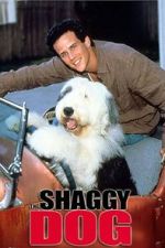 Watch The Shaggy Dog 5movies