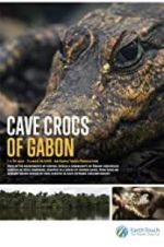 Watch Cave Crocs of Gabon 5movies
