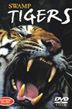 Watch Swamp Tigers 5movies