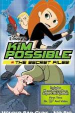 Watch "Kim Possible" Attack of the Killer Bebes 5movies