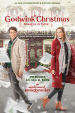 Watch A Godwink Christmas: Miracle of Love 5movies
