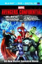 Watch Avengers Confidential: Black Widow & Punisher 5movies