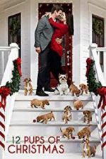 Watch 12 Pups of Christmas 5movies