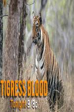 Watch Discovery Channel-Tigress Blood 5movies