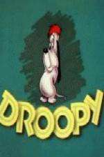 Watch Homesteader Droopy 5movies