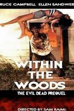 Watch Within the Woods 5movies
