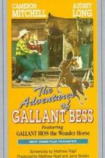 Watch Adventures of Gallant Bess 5movies
