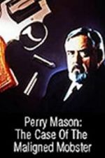 Watch Perry Mason: The Case of the Maligned Mobster 5movies