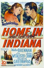 Watch Home in Indiana 5movies