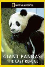 Watch National Geographic Giant Pandas The Last Refuge 5movies