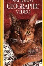 Watch Cats Caressing the Tiger 5movies