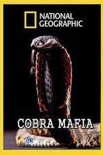 Watch National Geographic Cobra Mafia 5movies