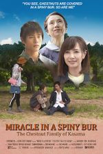 Watch Miracle in Kasama 5movies