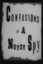 Watch Confusions of a Nutzy Spy 5movies