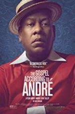 Watch The Gospel According to Andr 5movies