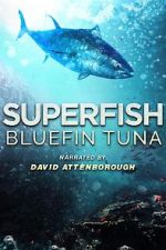 Watch Superfish Bluefin Tuna 5movies