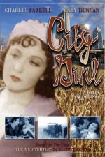 Watch Die Frau aus Chicago 5movies