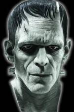 Watch Frankenstein Birth of a Monster 5movies
