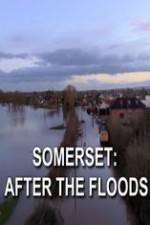 Watch Somerset: After the Floods 5movies