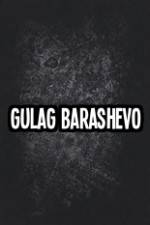 Watch Gulag Barashevo 5movies