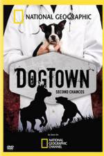 Watch National Geographic DogTown 5movies