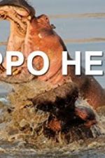 Watch Hippo Hell 5movies