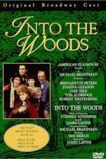 Watch Into the Woods 5movies