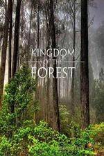 Watch National Geographic Kingdom of the Forest 5movies