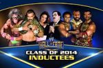 Watch WWE Hall of Fame 5movies