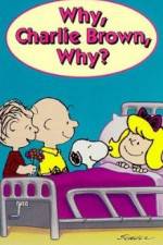 Watch Why Charlie Brown Why 5movies