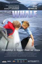Watch The Whale 5movies