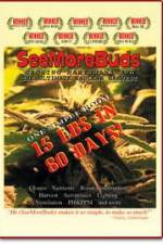 Watch SeeMoreBuds: Vol. 1 5movies