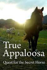 Watch True Appaloosa 5movies