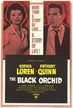 Watch The Black Orchid 5movies