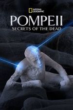 Watch Pompeii: Secrets of the Dead (TV Special 2019) 5movies