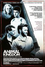 Watch Animal Kingdom 5movies