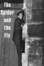 Watch The Spider and the Fly 5movies