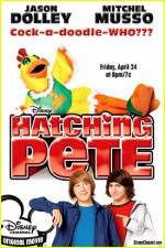 Watch Hatching Pete 5movies