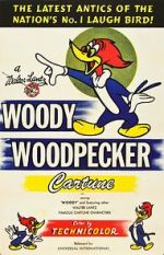 Watch The Woody Woodpecker Polka 5movies