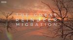 Watch All Aboard! The Great Reindeer Migration 5movies