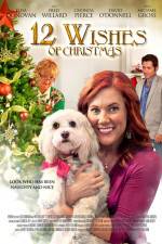 Watch 12 Wishes of Christmas 5movies