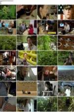 Watch National Geographic: Super weed 5movies