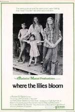 Watch Where the Lilies Bloom 5movies