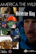 Watch National Geographic Wild America the Wild Wolverine King 5movies